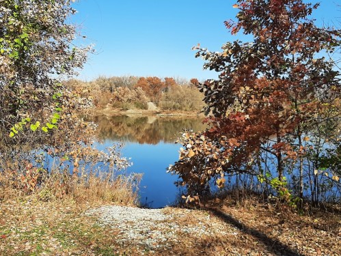 A serene lake surrounded by trees with autumn foliage under a clear blue sky.