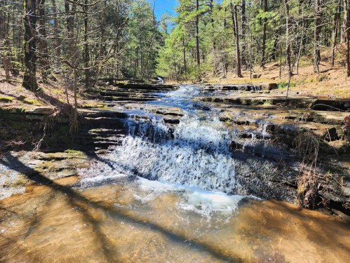 A serene waterfall cascades over rocky steps in a lush forest, surrounded by tall trees and clear blue skies.