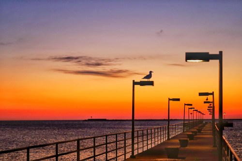 A serene pier at sunset, with a seagull perched on a lamp post and vibrant orange and purple skies above.