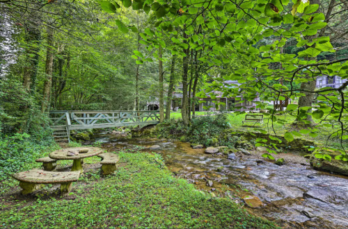 A serene forest scene with a small stream, a wooden bridge, and a moss-covered picnic table surrounded by greenery.