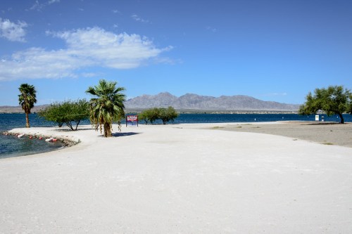 A sandy beach with palm trees, a calm lake, and mountains in the background under a clear blue sky.