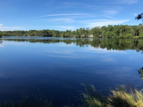 A serene lake surrounded by lush greenery under a clear blue sky, reflecting the landscape on its calm surface.