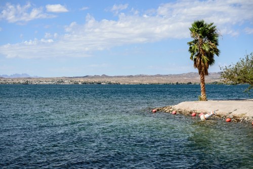 A serene lakeside view featuring a palm tree, floating buoys, and distant mountains under a partly cloudy sky.