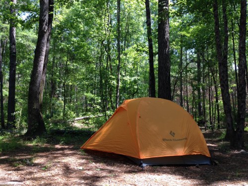 An orange tent set up in a lush green forest surrounded by tall trees and dappled sunlight.