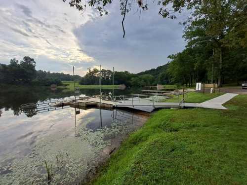 A serene lakeside view with a wooden dock, surrounded by lush greenery and a cloudy sky.