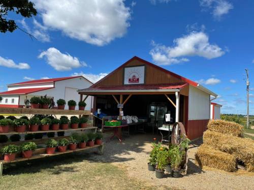 A charming farm stand with potted plants, hay bales, and a red-roofed building under a blue sky with fluffy clouds.