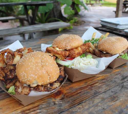 Three sesame seed burgers with sides of fries and onion rings on a wooden table, surrounded by greenery.