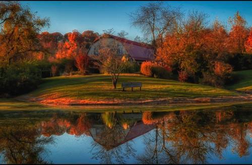 A serene landscape featuring a pond reflecting autumn trees and a rustic building in the background.