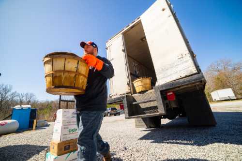 A worker in gloves carries a wooden basket away from a truck in a sunny outdoor setting.