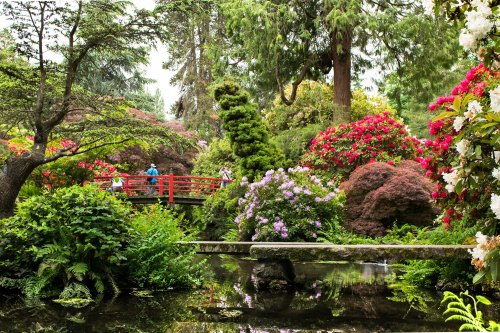A lush garden with vibrant flowers, a red bridge, and a tranquil pond surrounded by greenery and trees.