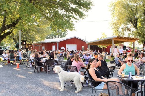 A lively outdoor gathering with people dining at tables, a white dog nearby, and a red barn in the background.