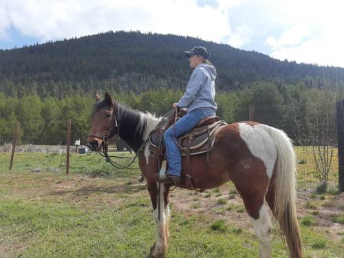 A person in a gray hoodie rides a brown and white horse in a green field with mountains in the background.