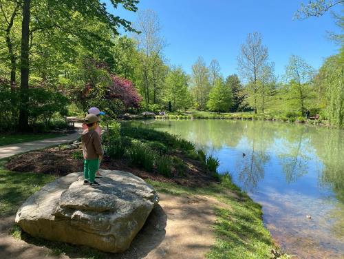 Two children stand on a rock by a serene pond, surrounded by lush greenery and trees under a clear blue sky.
