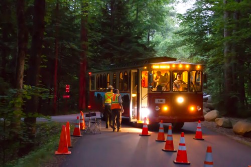 A brightly lit trolley bus stops on a forest road, surrounded by traffic cones and workers in safety vests.