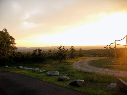 A scenic view of a sunset over rolling hills, with a winding path and scattered rocks in the foreground.