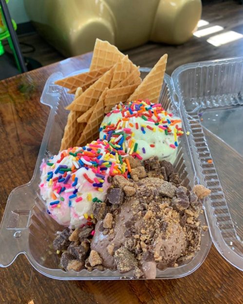 A clear container holds three scoops of colorful ice cream topped with sprinkles, alongside waffle cone pieces.