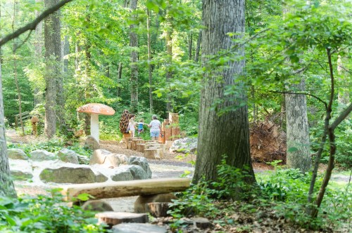 Children explore a whimsical forest play area with wooden structures and a large mushroom amidst lush greenery.