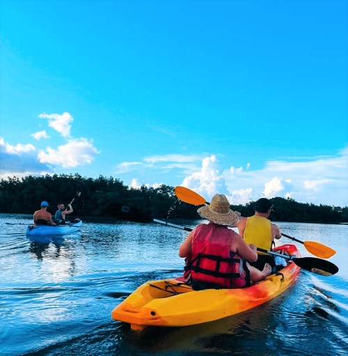 Two people kayaking on a calm waterway under a bright blue sky, with lush greenery in the background.