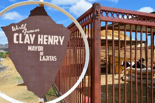 Sign for "Clay Henry, Mayor of Lajitas" next to a fenced area with a goat lounging inside. Desert landscape in the background.