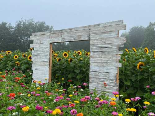 A rustic wooden frame stands in a vibrant flower field filled with sunflowers and colorful blooms, shrouded in mist.