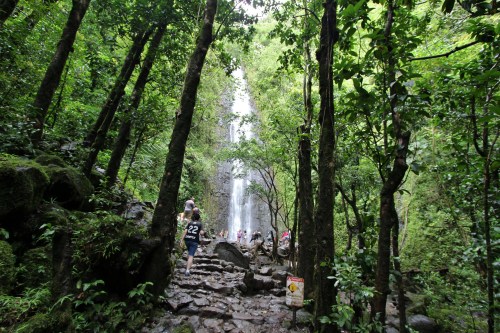 A lush green forest with a waterfall in the background, people walking along a rocky path surrounded by trees.