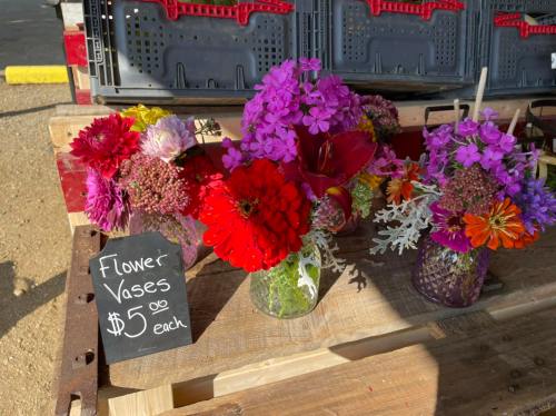 Colorful flower vases displayed on a wooden table, each priced at $5. Bright blooms in various shades and types.