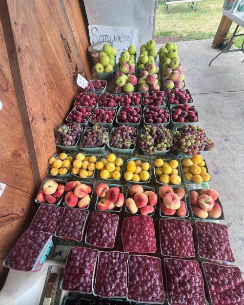 A variety of fresh fruits displayed in baskets, including grapes, peaches, and apples, at a market stall.