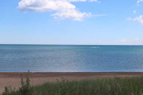 A serene beach scene with calm blue water, a sandy shore, and green grass under a clear sky with a few clouds.