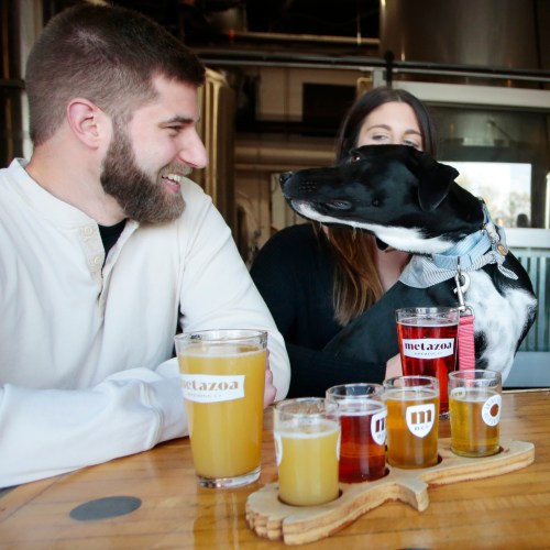A man and a woman smile at each other while a dog leans in, with a flight of colorful craft beers on the table.
