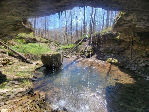 A serene scene of a waterfall cascading from a rocky overhang into a clear pool, surrounded by lush greenery and trees.