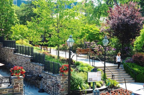 A sunny park with lush greenery, blooming flowers, and a woman walking along a path beside stone walls and benches.
