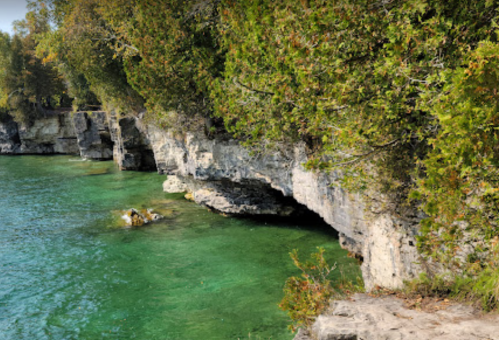 A rocky shoreline with lush greenery and clear turquoise water.
