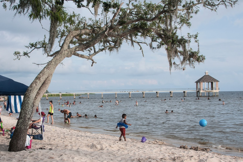 A beach scene with people swimming, playing, and relaxing under a tree, with a pier and gazebo in the background.