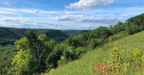 Lush green hills under a blue sky with fluffy clouds, showcasing a serene natural landscape.