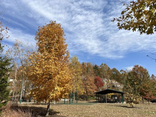 A park scene with vibrant autumn trees and a shelter under a blue sky with scattered clouds.