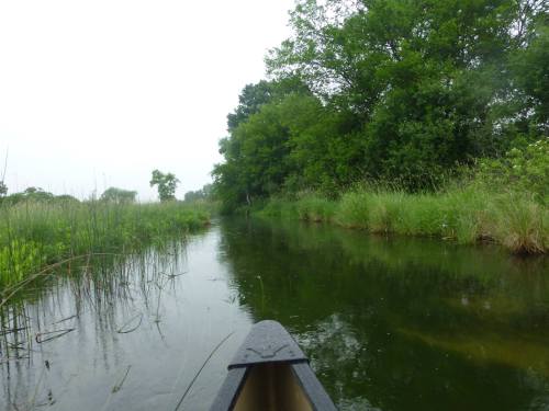 A serene waterway surrounded by lush greenery, viewed from a canoe on a cloudy day.