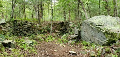 A serene forest scene featuring stone walls, large boulders, and lush greenery on the forest floor.