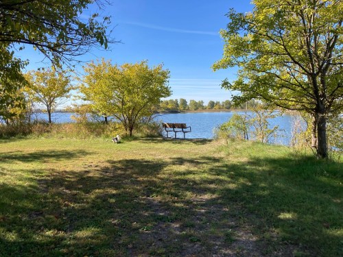 A peaceful lakeside scene with a bench surrounded by trees and grass, under a clear blue sky.