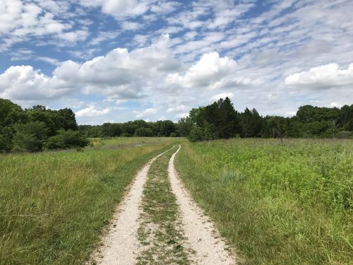 A winding dirt path through a grassy field under a blue sky with fluffy clouds and trees in the background.