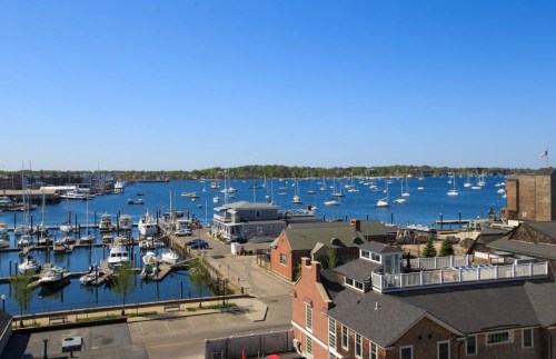 A scenic view of a marina with numerous sailboats on a clear blue day, surrounded by buildings and greenery.