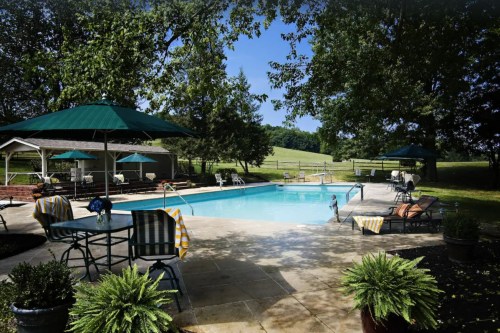 A serene outdoor pool area with lounge chairs, umbrellas, and lush greenery under a clear blue sky.