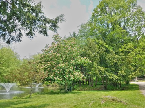 A serene park scene featuring a pond, fountains, and lush green trees under a partly cloudy sky.