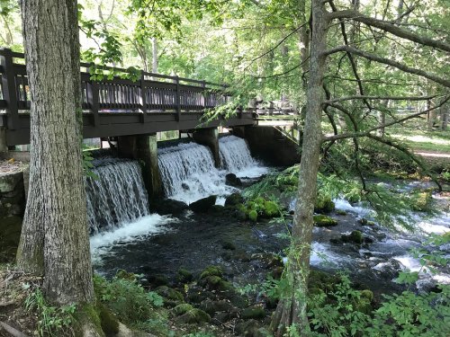 A wooden bridge spans a flowing stream with small waterfalls, surrounded by lush green trees and foliage.
