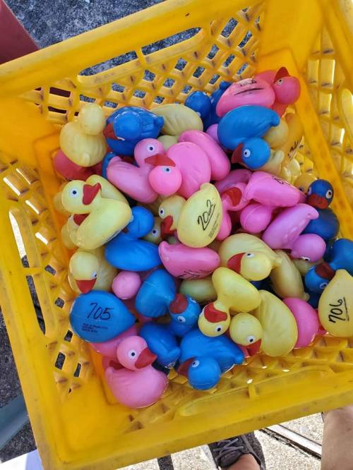 A yellow basket filled with colorful rubber ducks in pink, blue, and yellow.