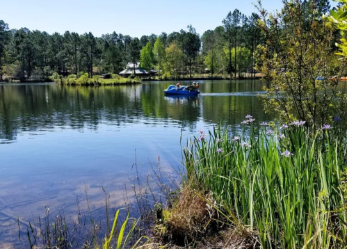 A blue boat with two people glides across a calm lake surrounded by trees and blooming flowers.