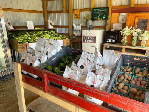 A farm stand displaying fresh produce, including cucumbers, peppers, and potatoes, with a sign for fresh eggs.