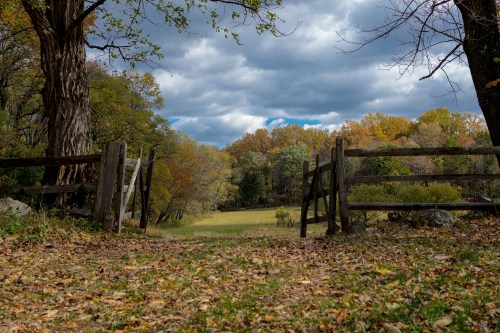 A rustic wooden gate opens to a grassy field surrounded by trees with autumn foliage under a cloudy sky.