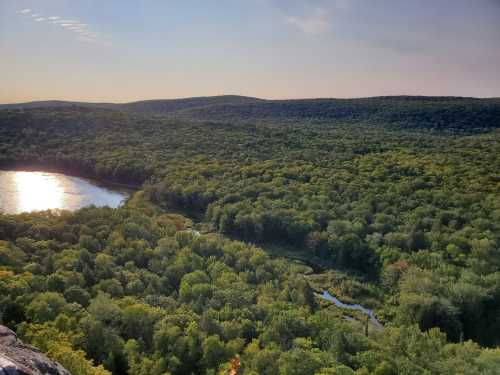 A scenic view of lush green forests and a winding river reflecting sunlight under a clear sky.