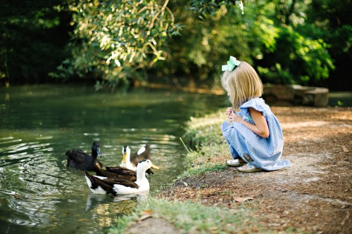 A young girl in a blue dress crouches by a pond, watching ducks swim nearby. Lush greenery surrounds the scene.
