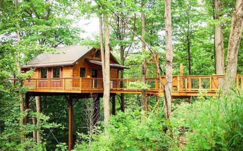 A wooden treehouse nestled among lush green trees, connected by a wooden walkway.